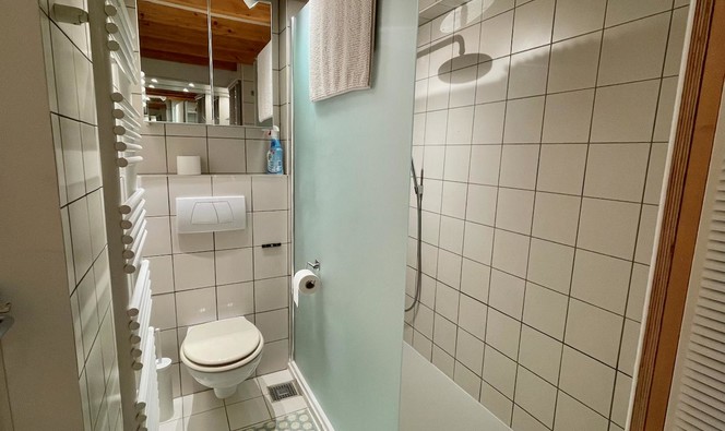 Dakappartement te koop in Brugge